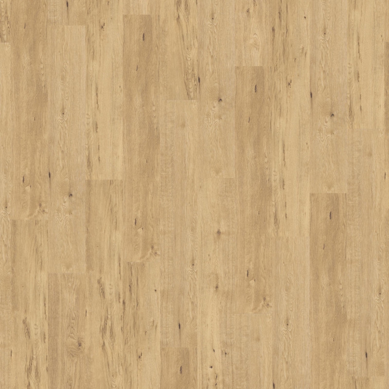 9028 Rice Wine Oak