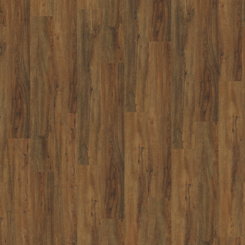 9031 Rich Hazel Oak