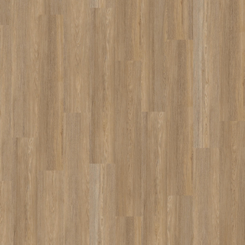 9036 Treehouse Oak