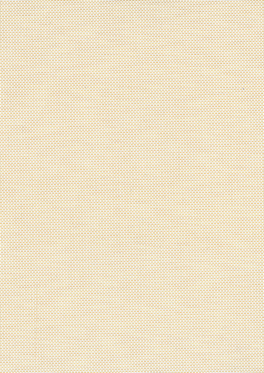 Folk White Ochre
