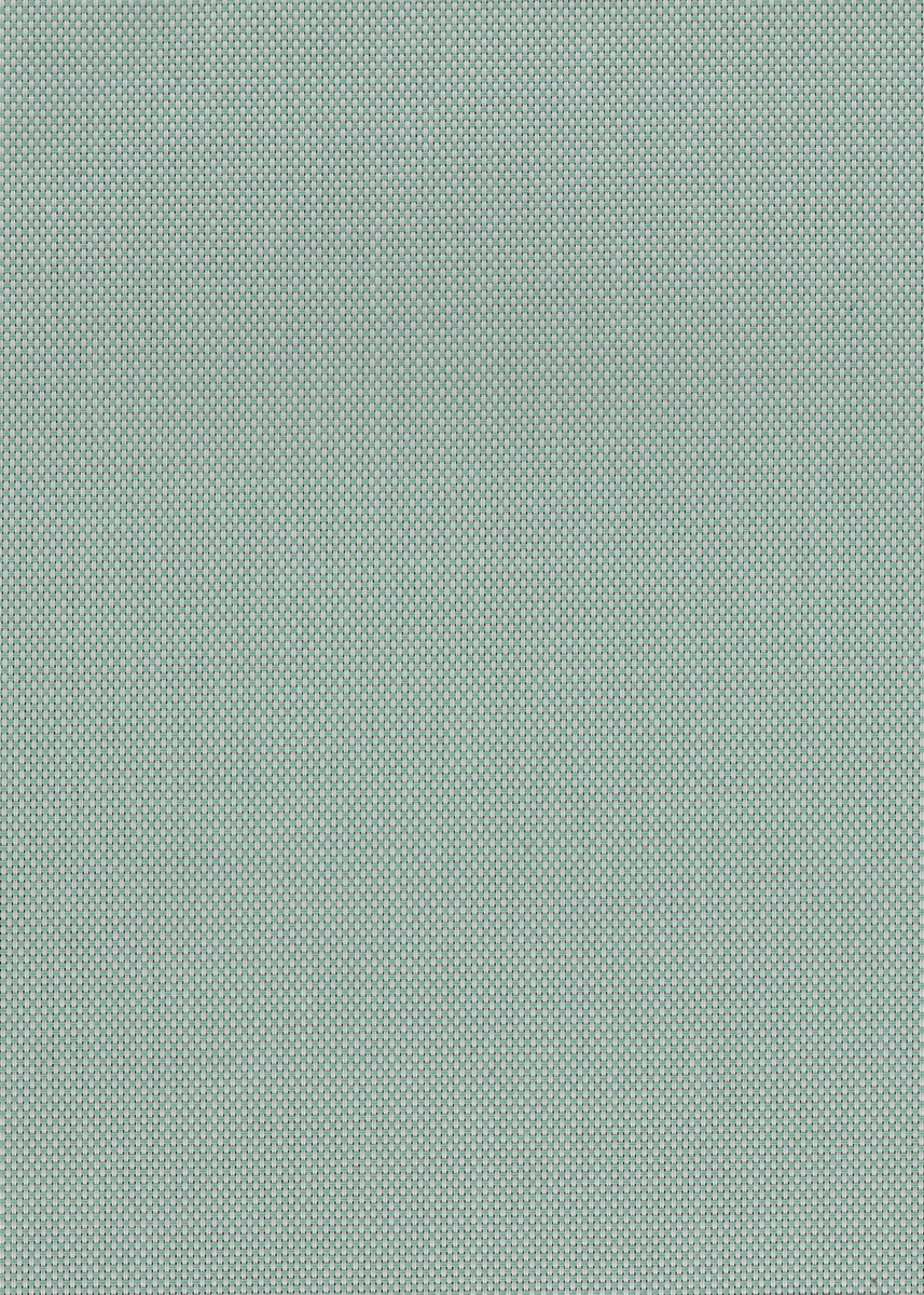 Pearl Grey Green