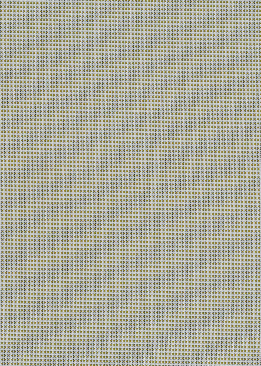 Spot Pearl Olive