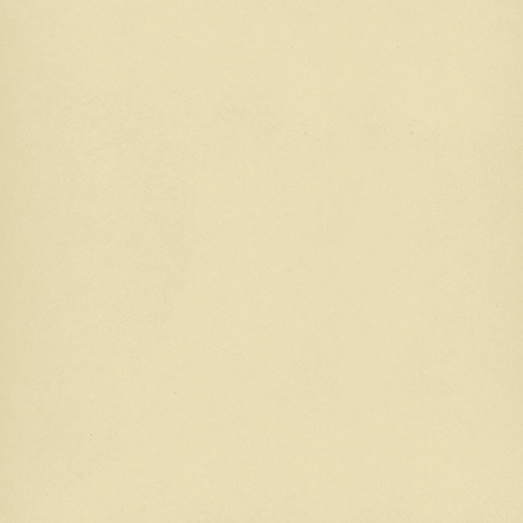 S01 Ivory