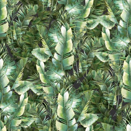 Banana Leaves