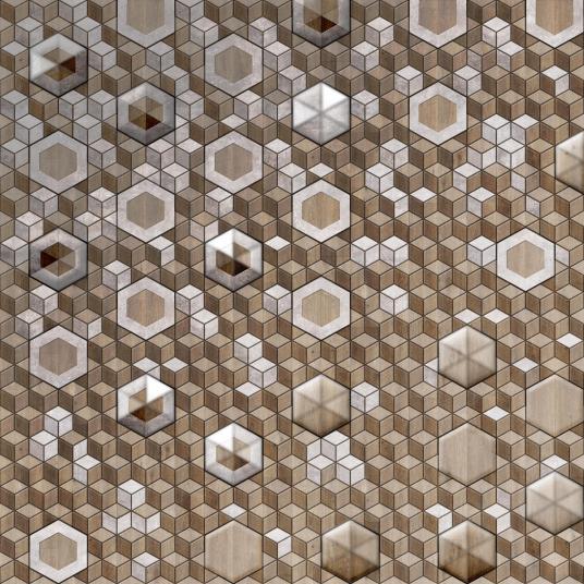 Hexagon Variation