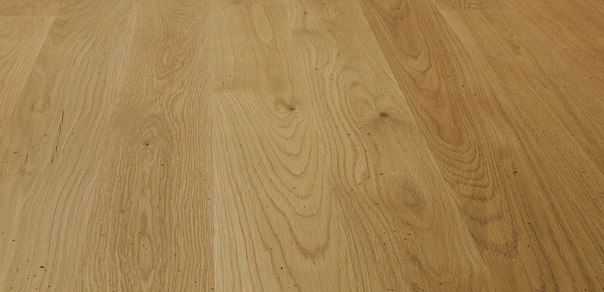 Oak Olmo Historico