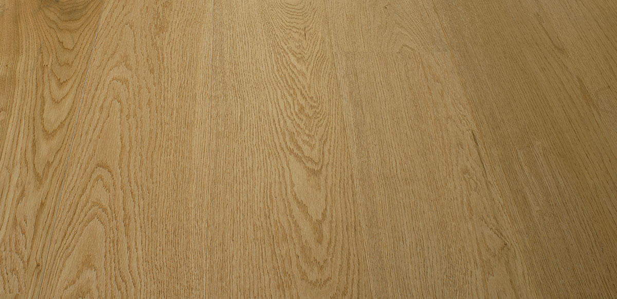 Oak Olmo