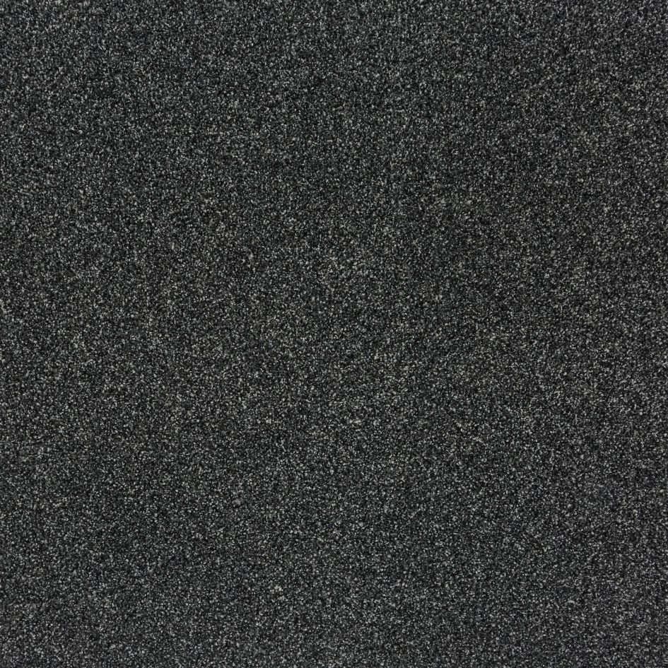 33205 Mussel