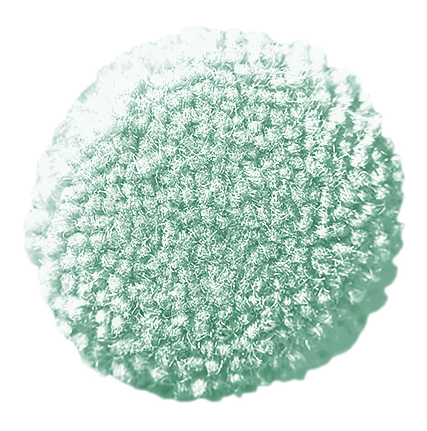 White mint