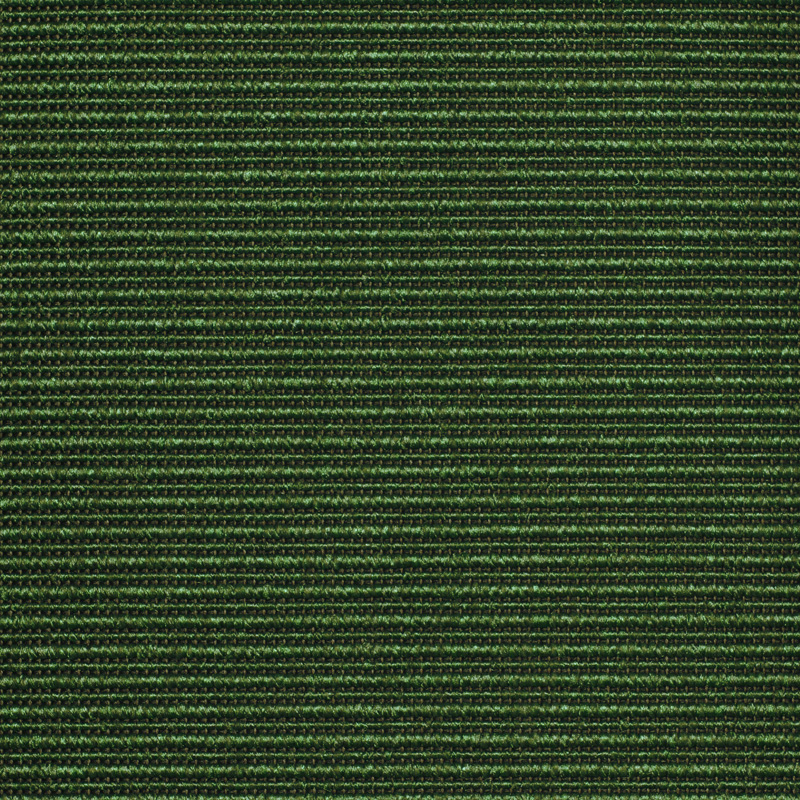 358750 Winter Green