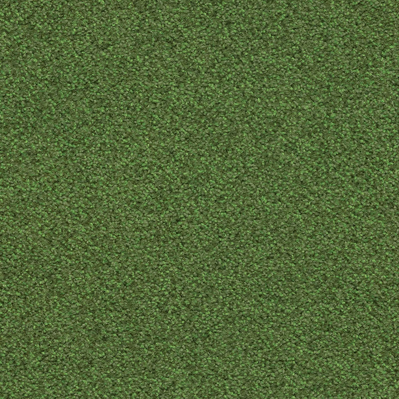 371740 Cactus