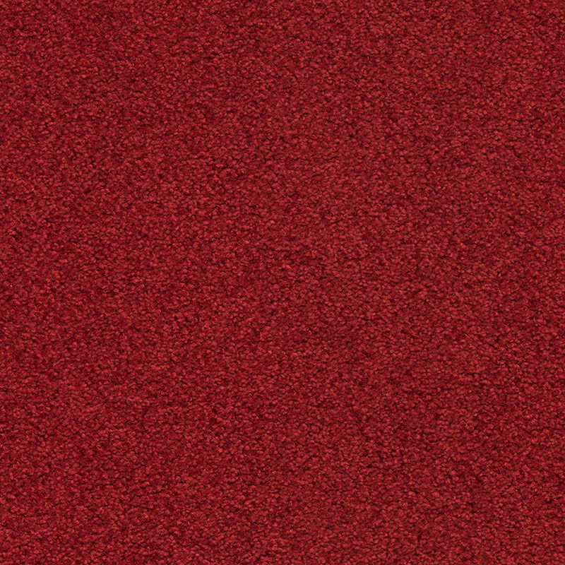371600 Scarlet