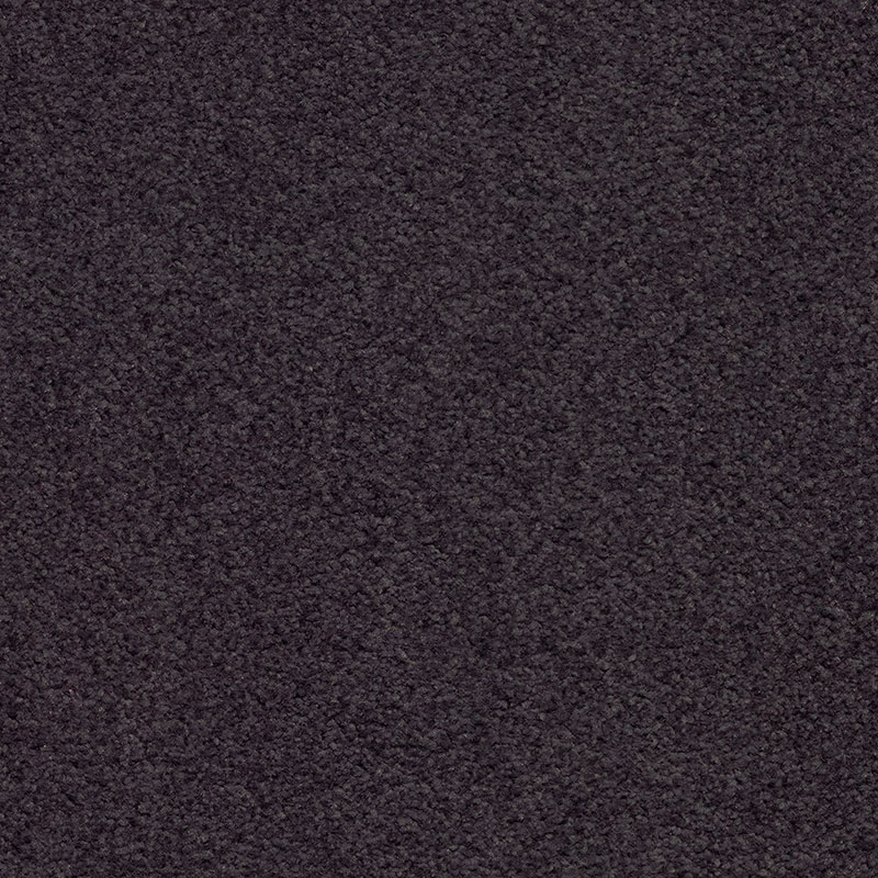 371650 Purple Velvet