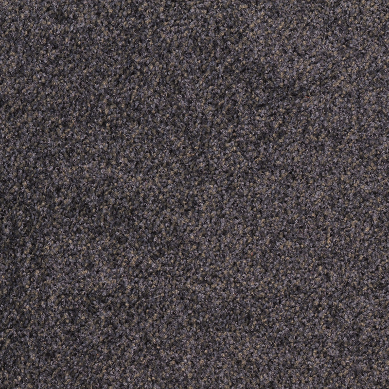 371350 Rabbit