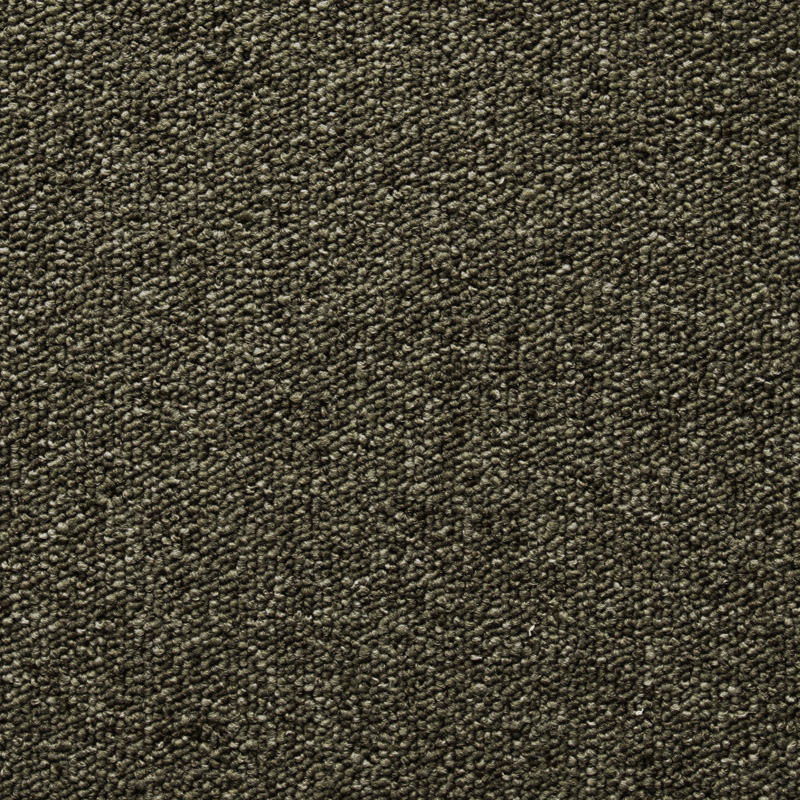 T393180 Moon Rock