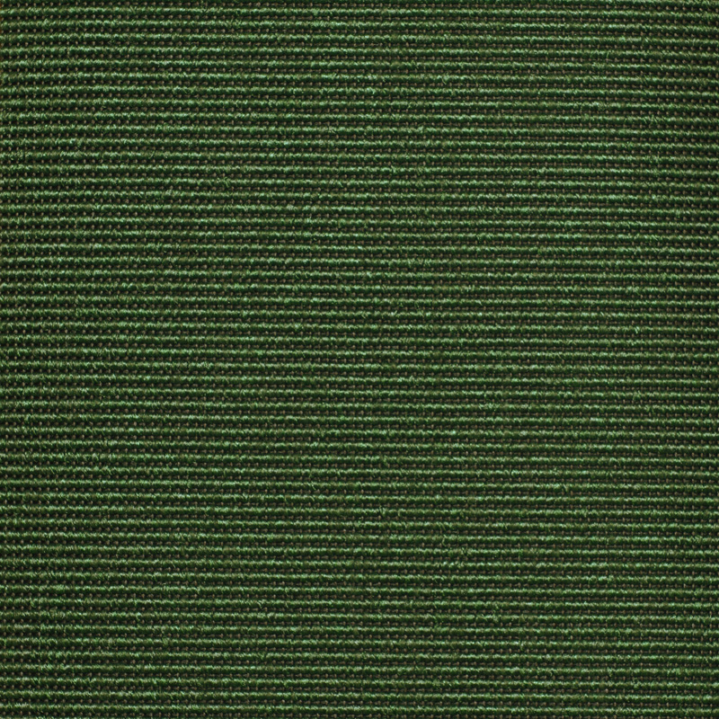 357750 Winter Green