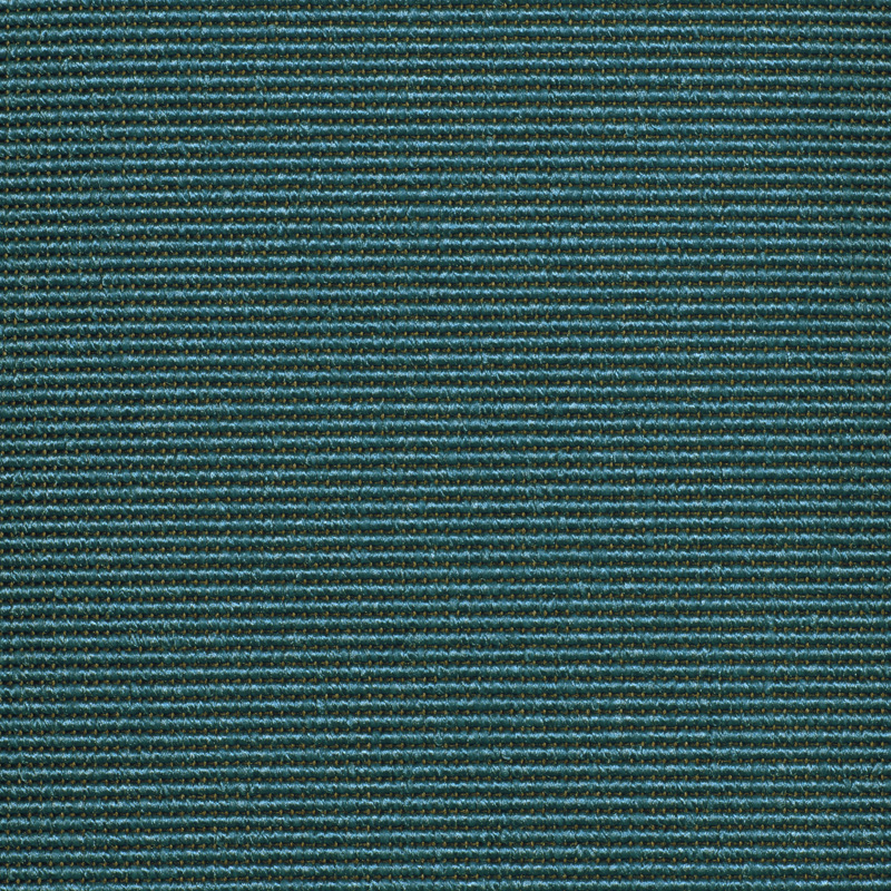 357820 Bluebird