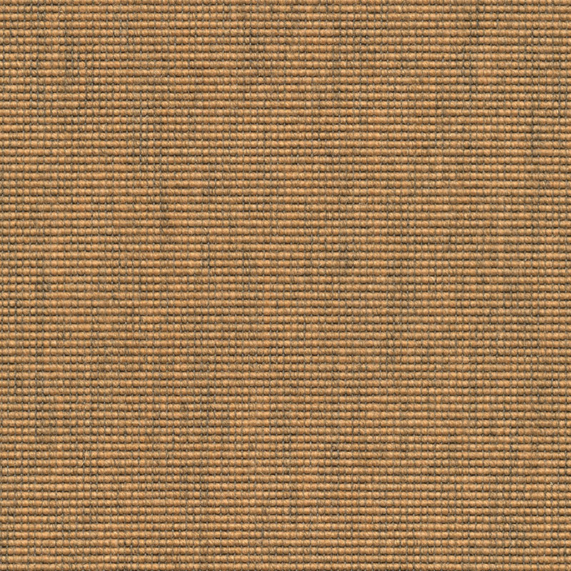 510210 Desert Sand