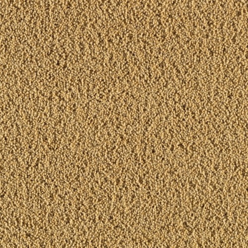 3090 Gold
