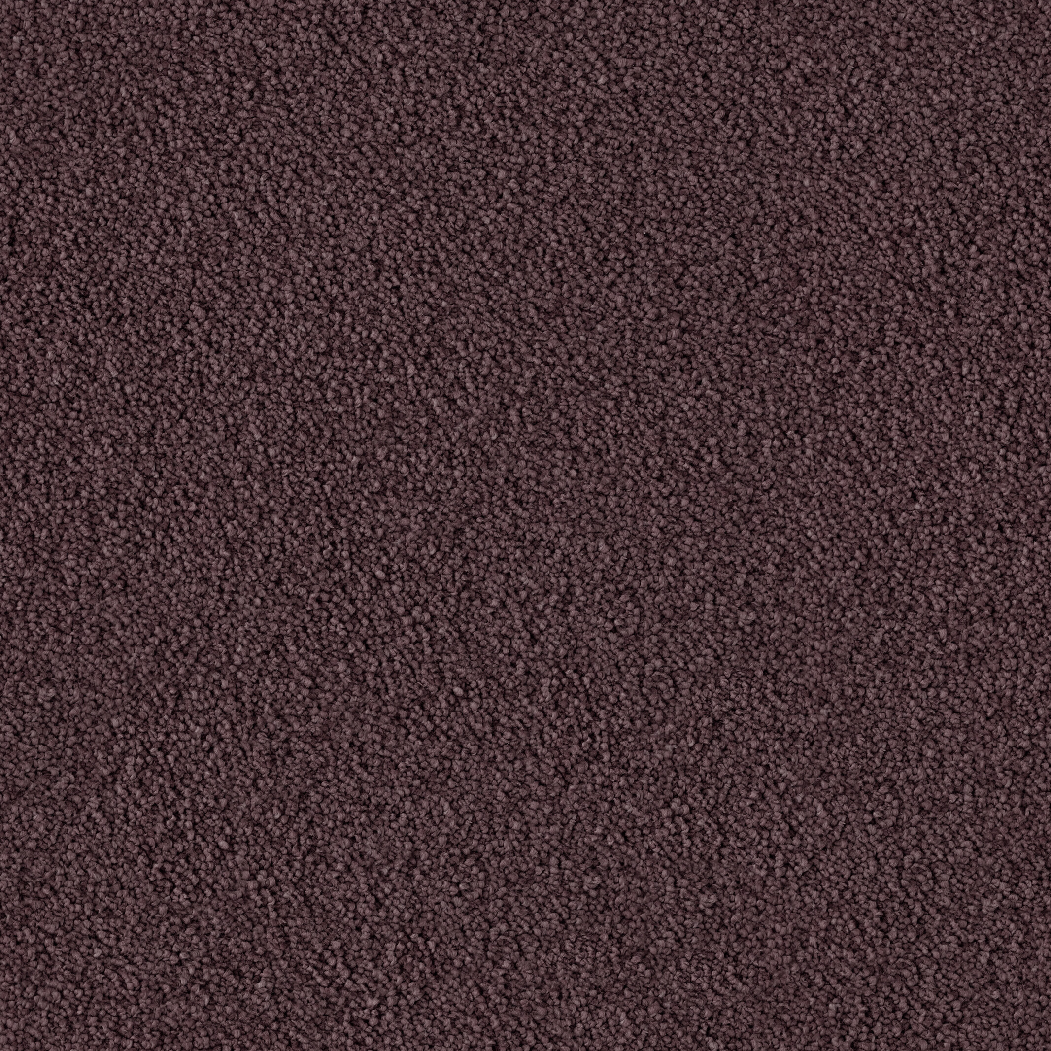 2251