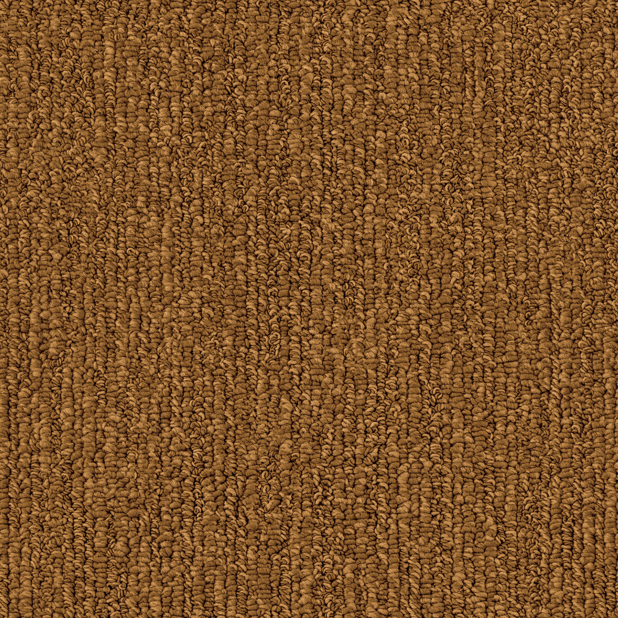 1041