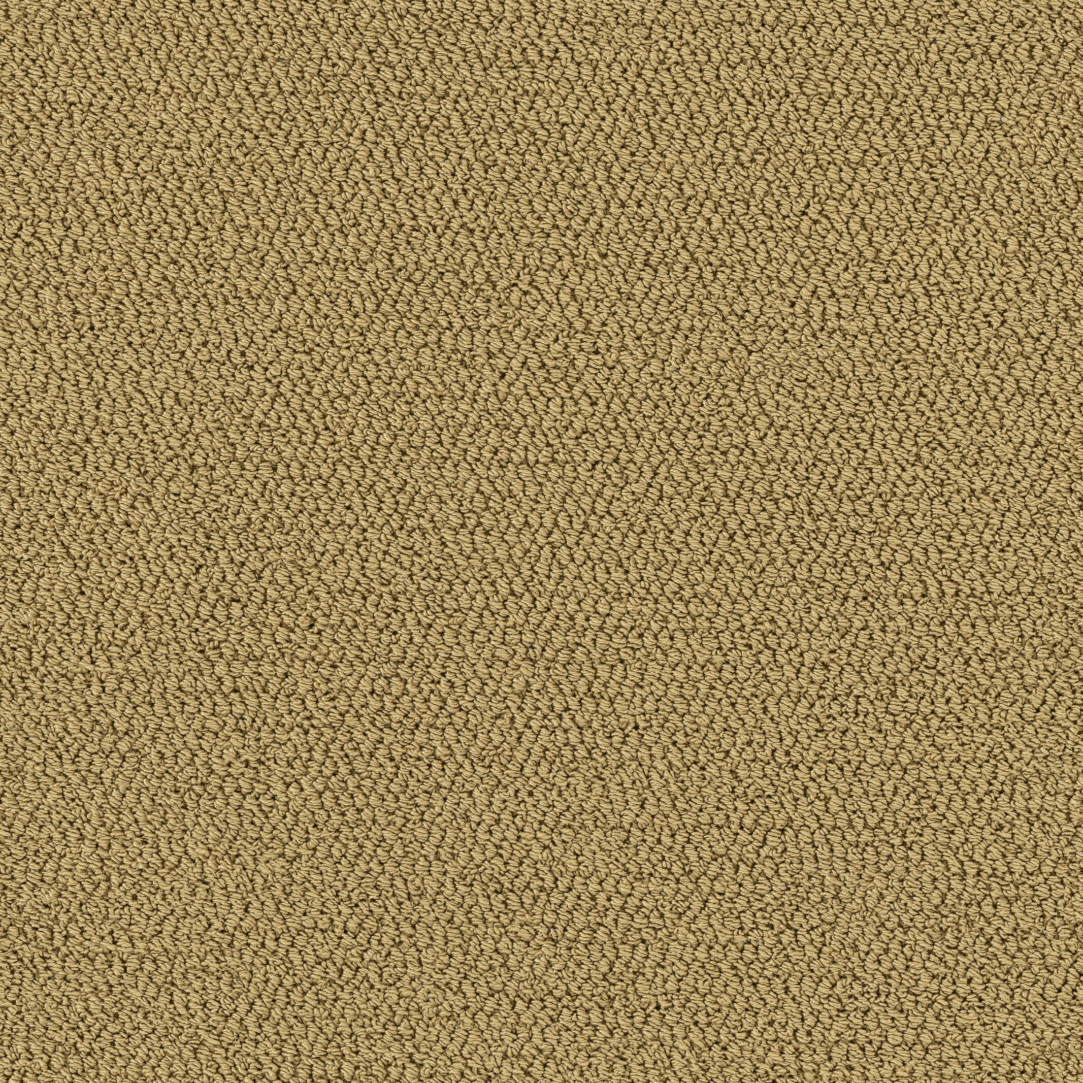 1231