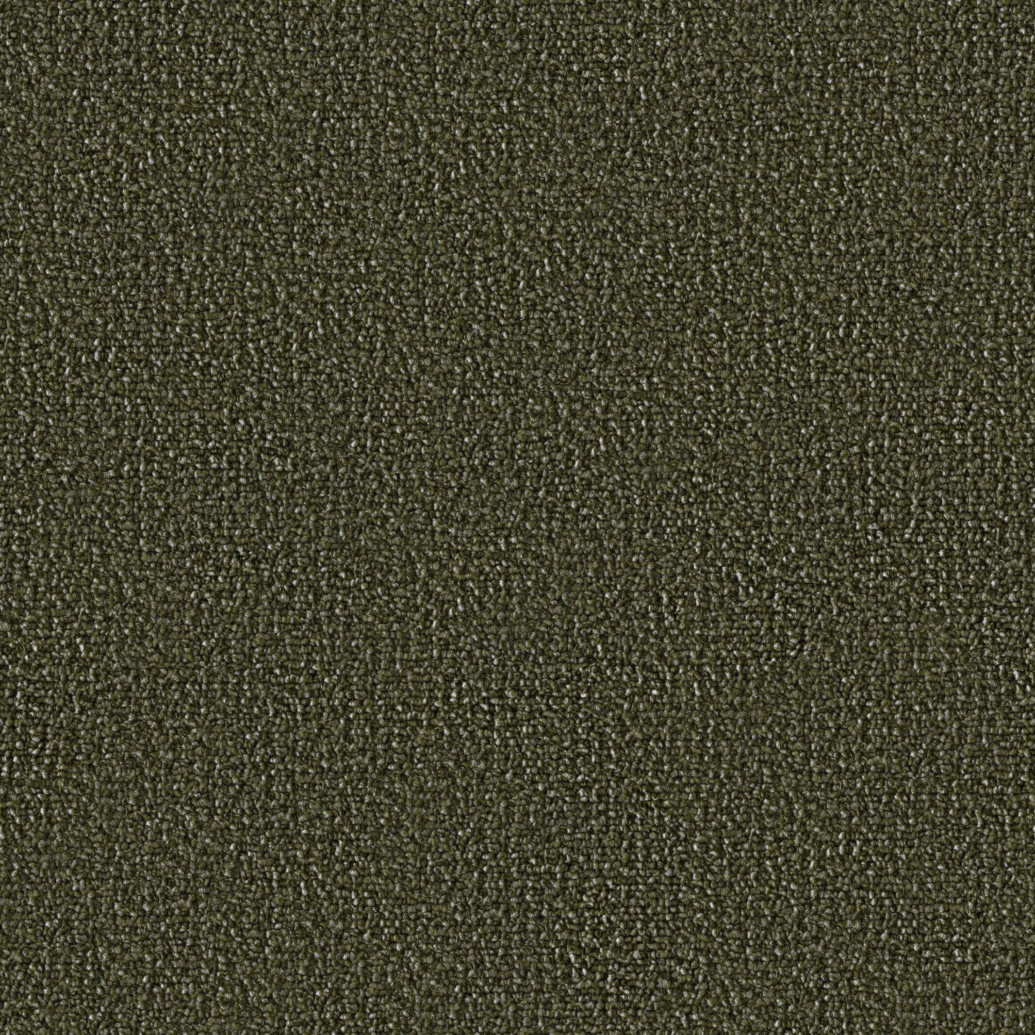 0604 Olive
