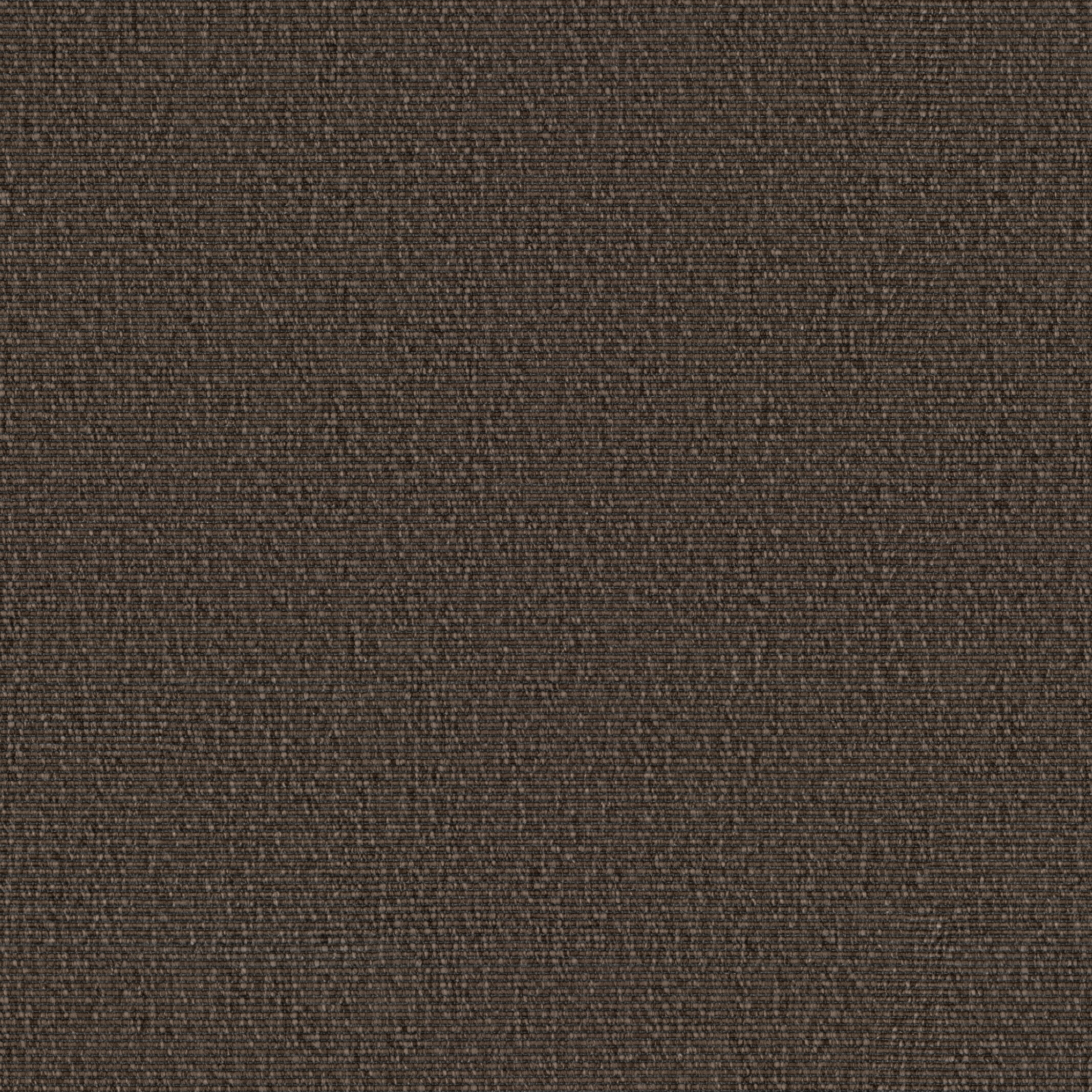 0408 Mokka