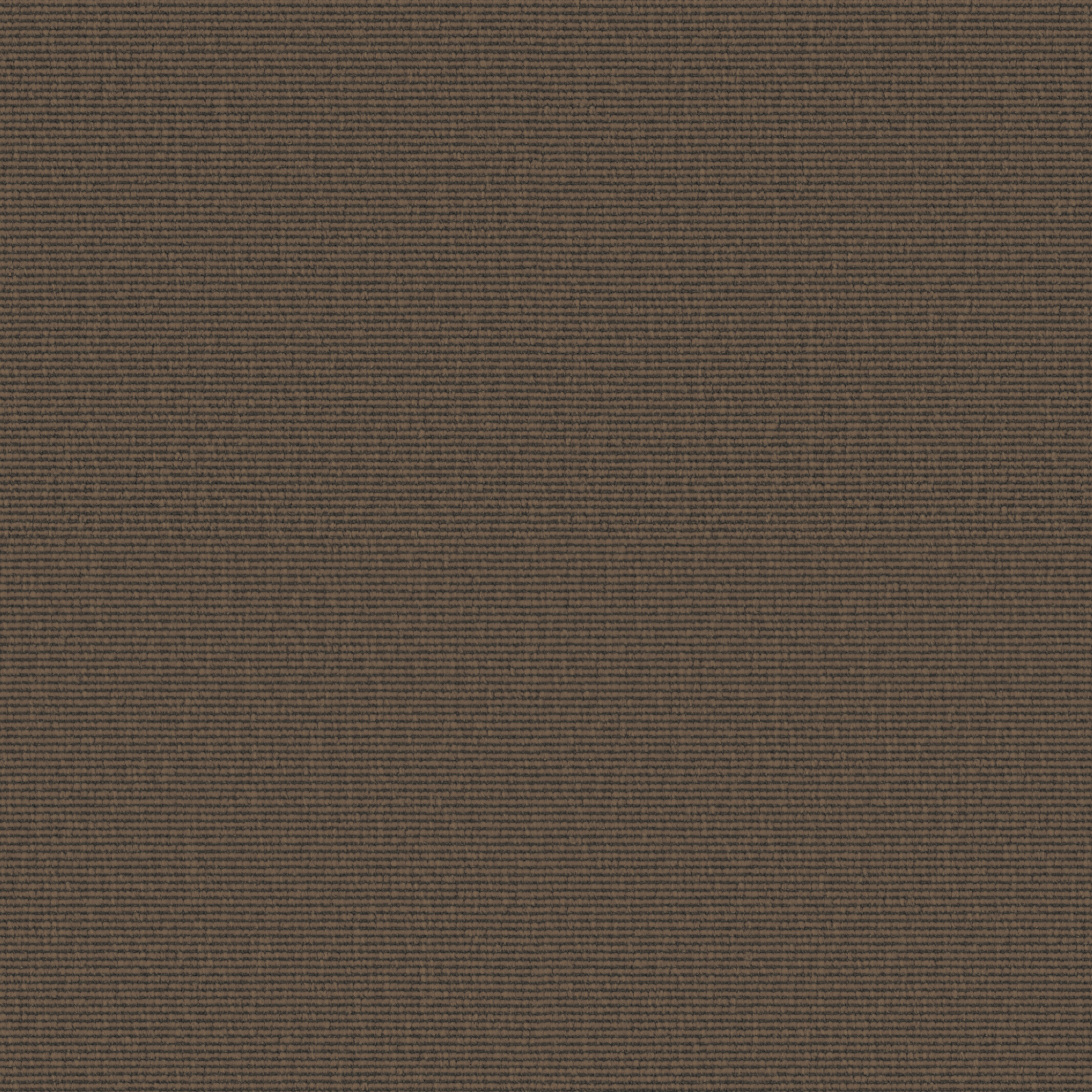 0427 Coconut