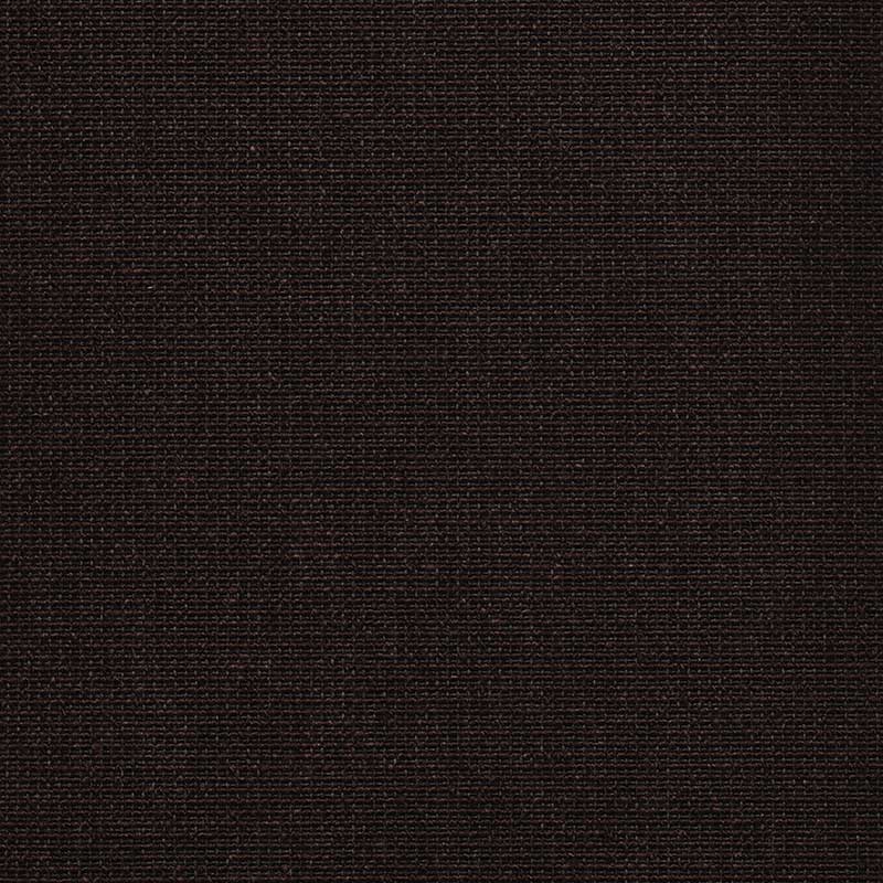 T394680 Raisin