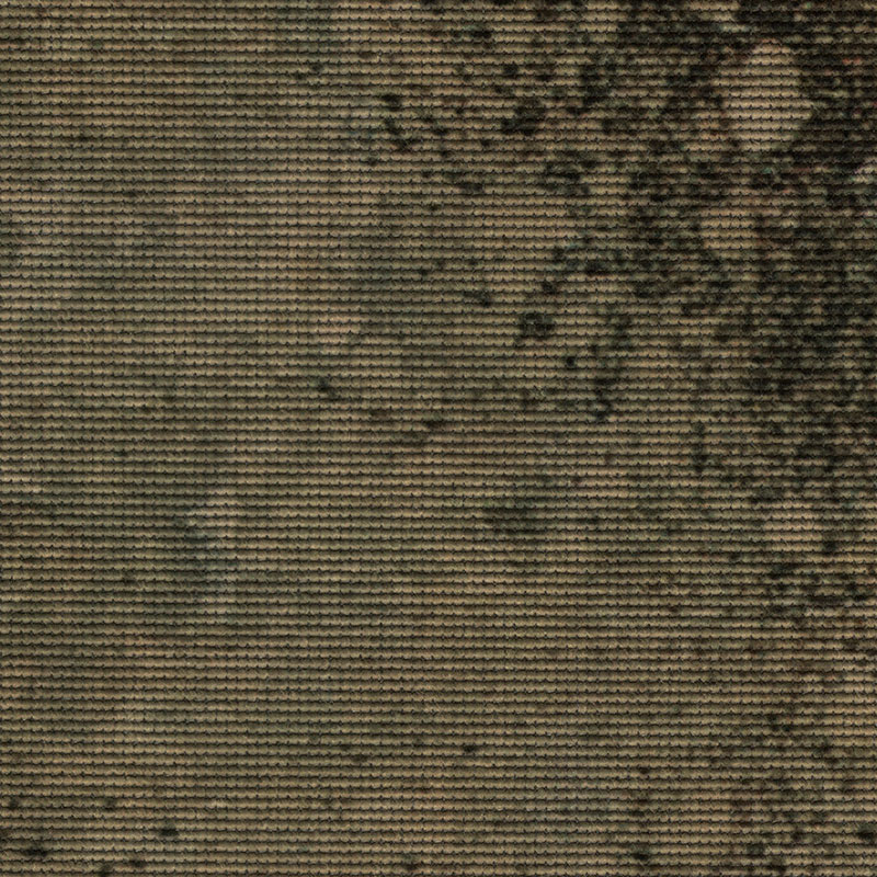 T800002250