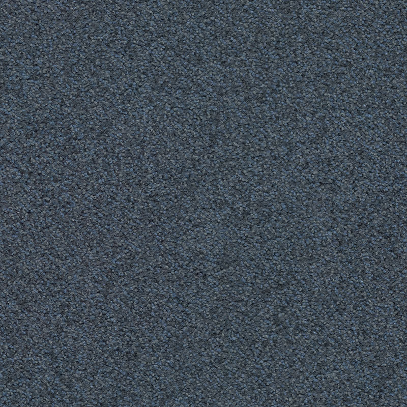 T371850 True Navy