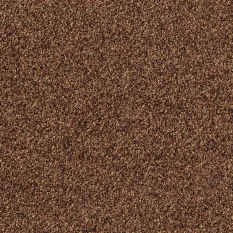 T371220 Kangaroo