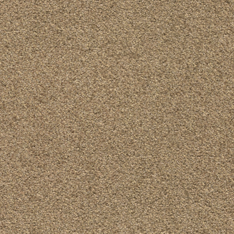 T371210 Champagne