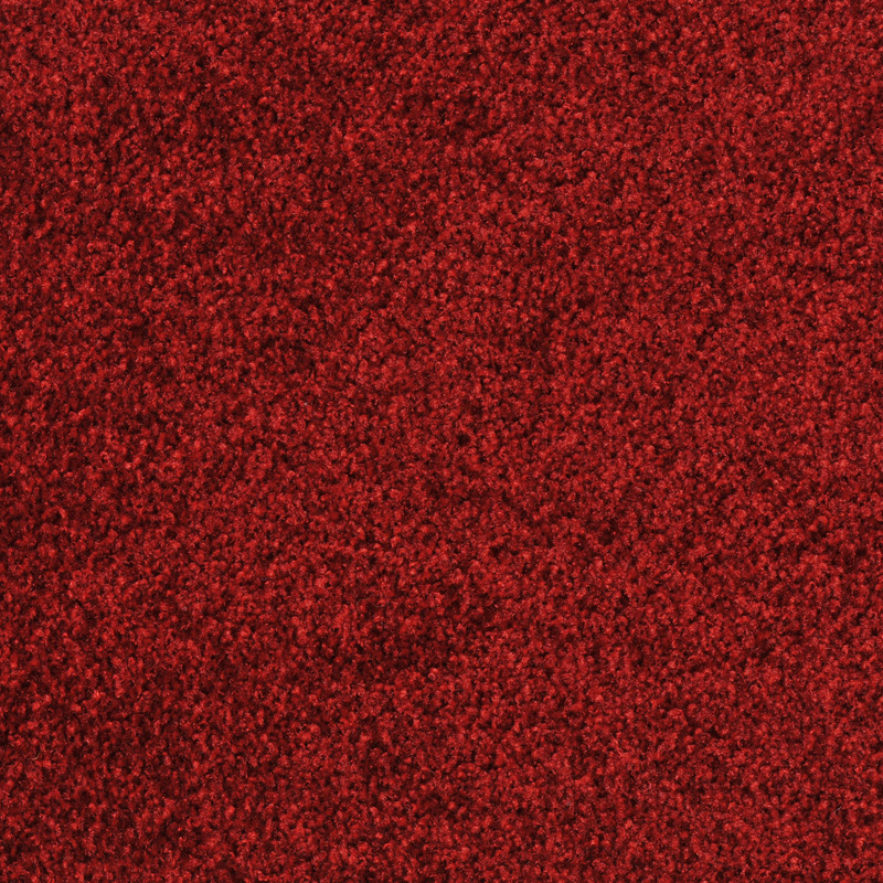 T371600 Scarlet