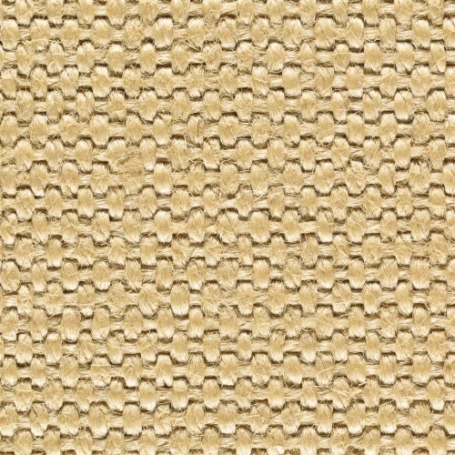 2816