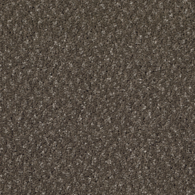 438250 Teak