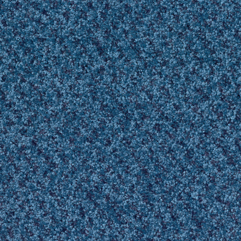 438820 Cornflower Blue
