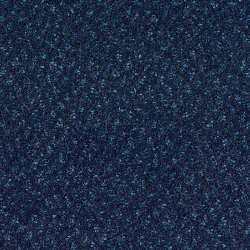438880 Midnight Bounty