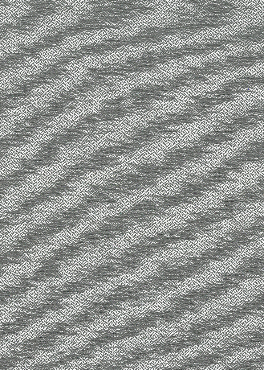 Tortora