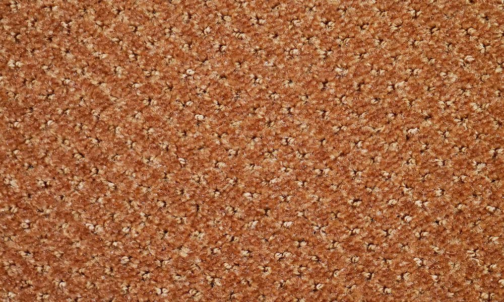231