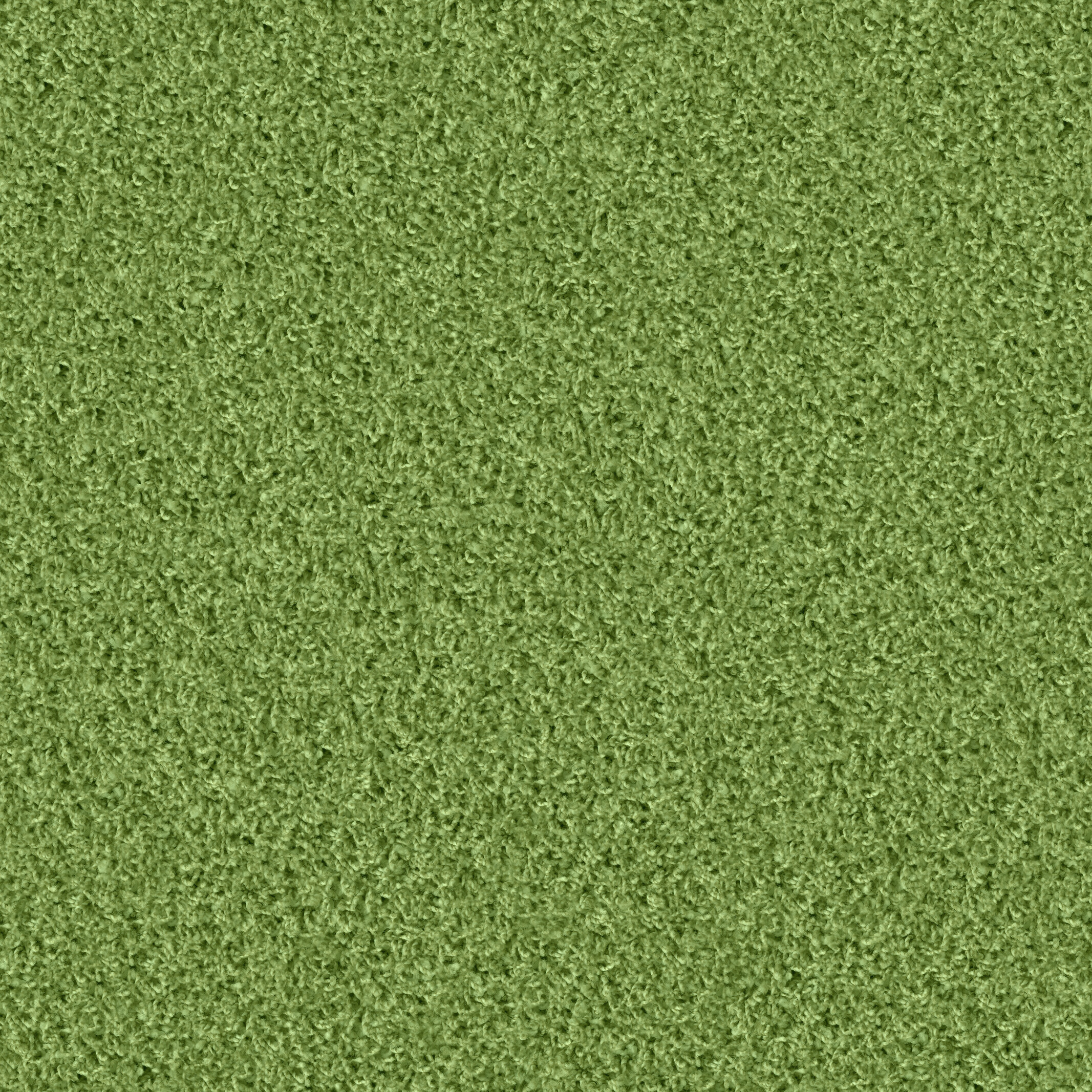 1422 Grashopper