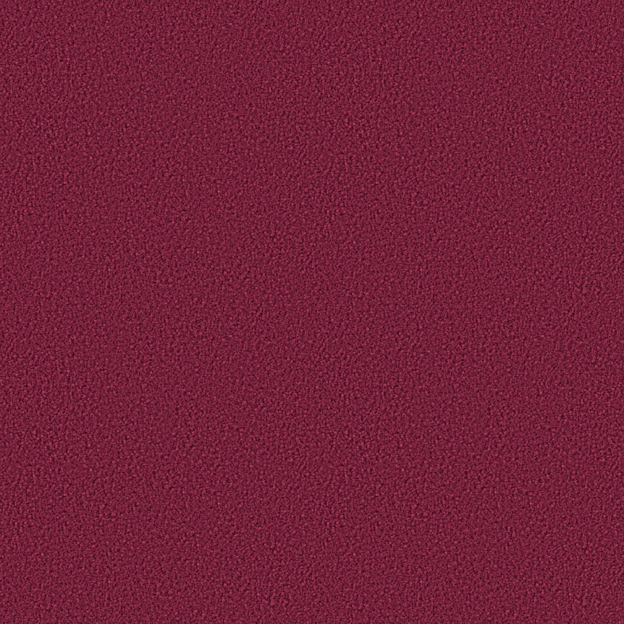 1048 Fuchsia
