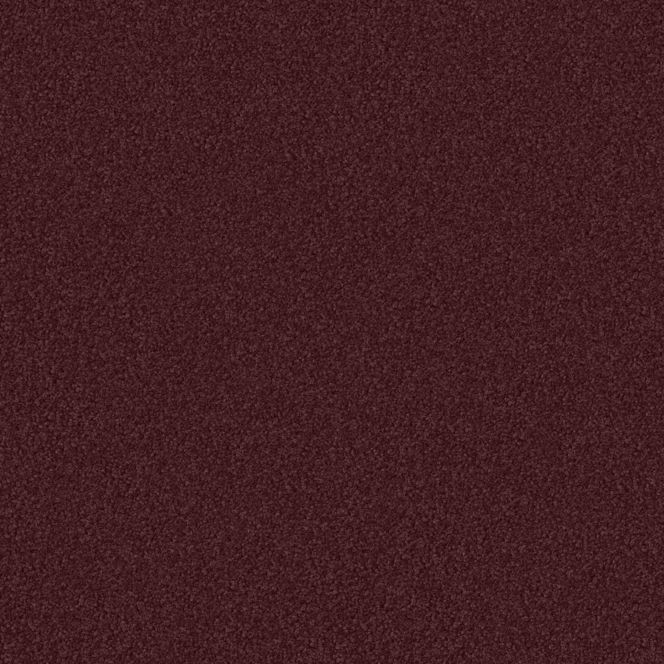 1136 Burgund