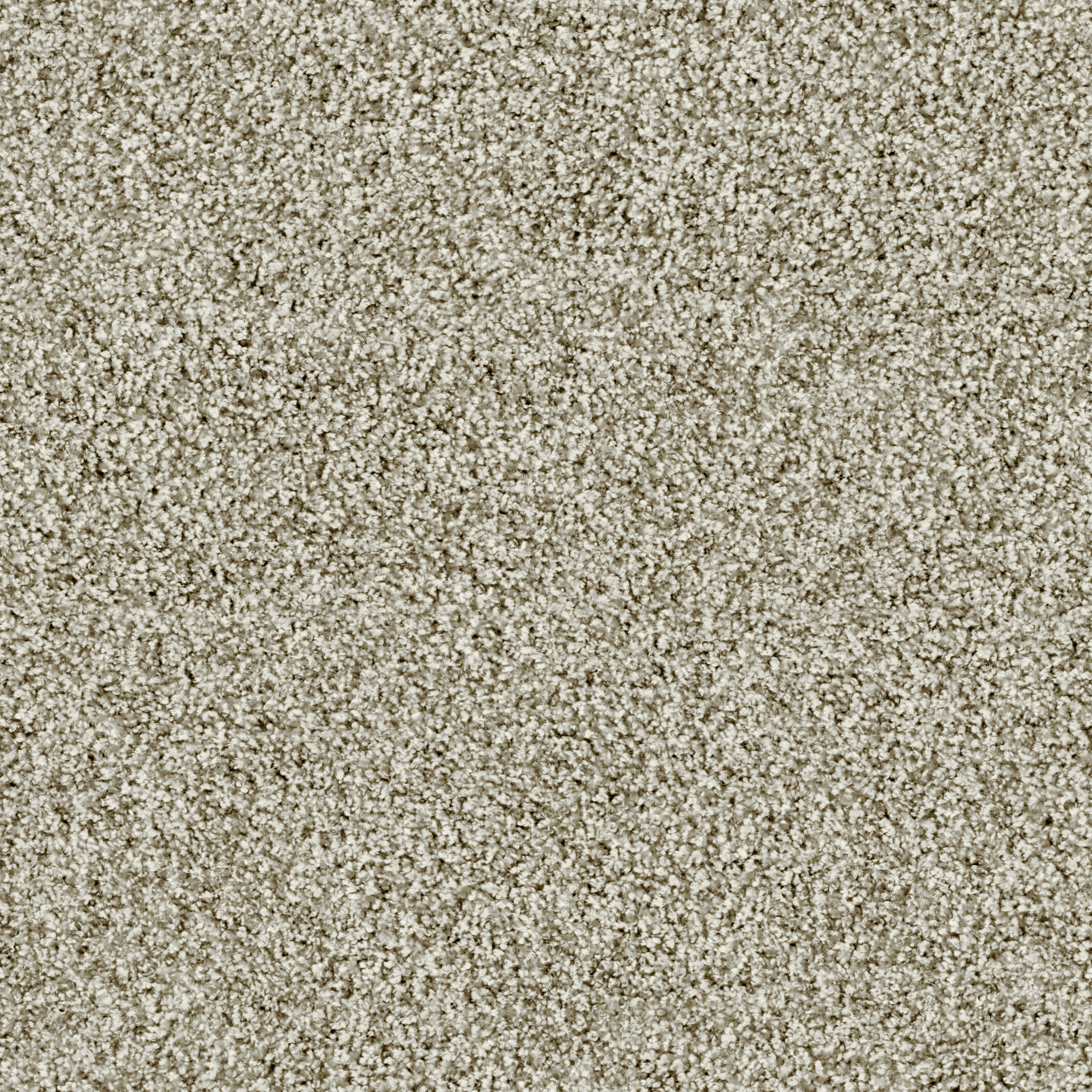 1505 Lichtgrau