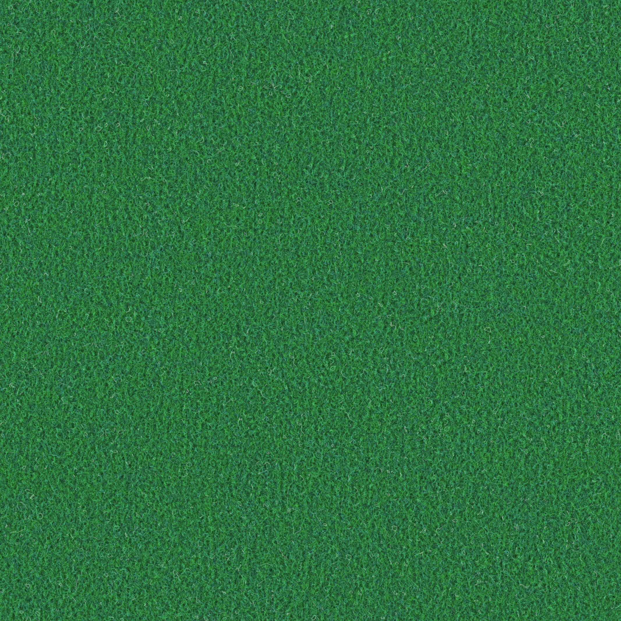 551 Gras