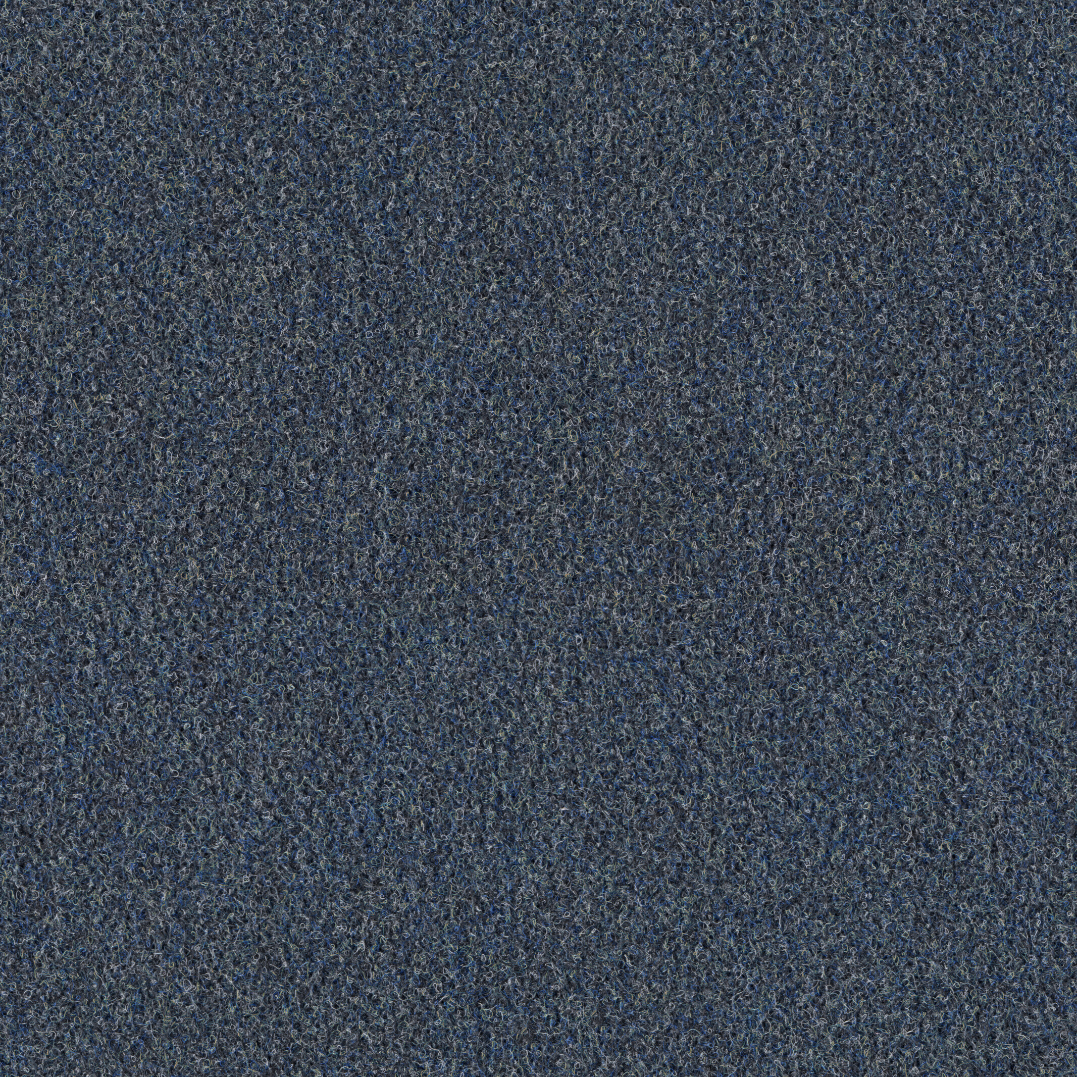 559 Ocean