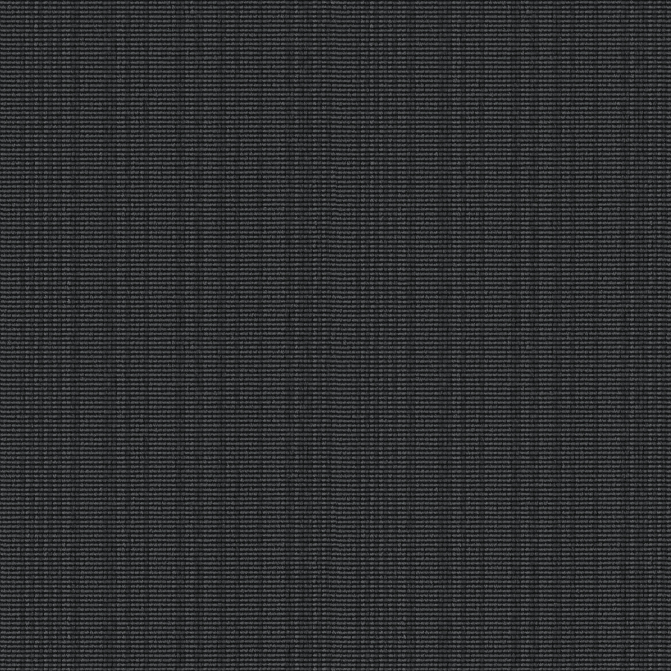 441 Black
