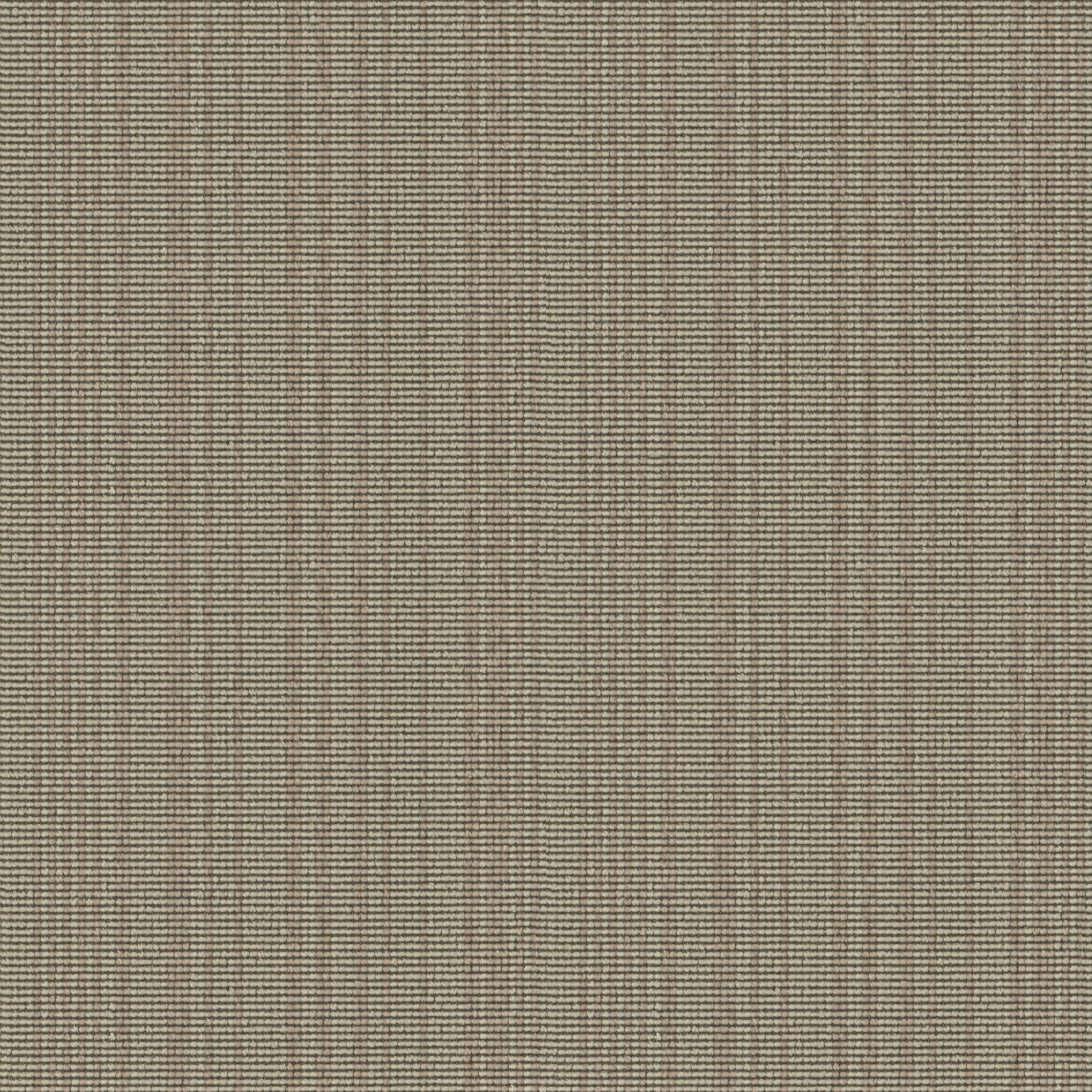 443 Sand