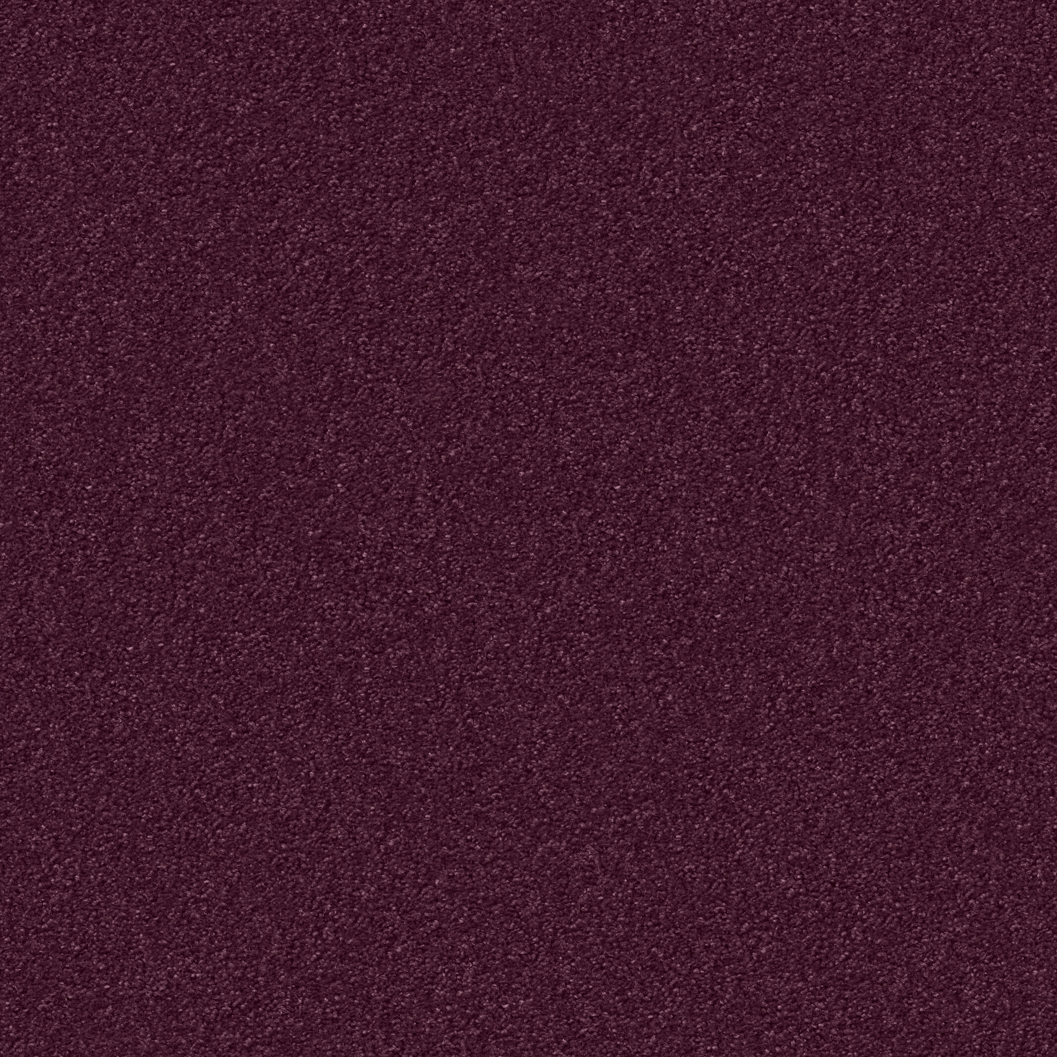 1207 Brombeer